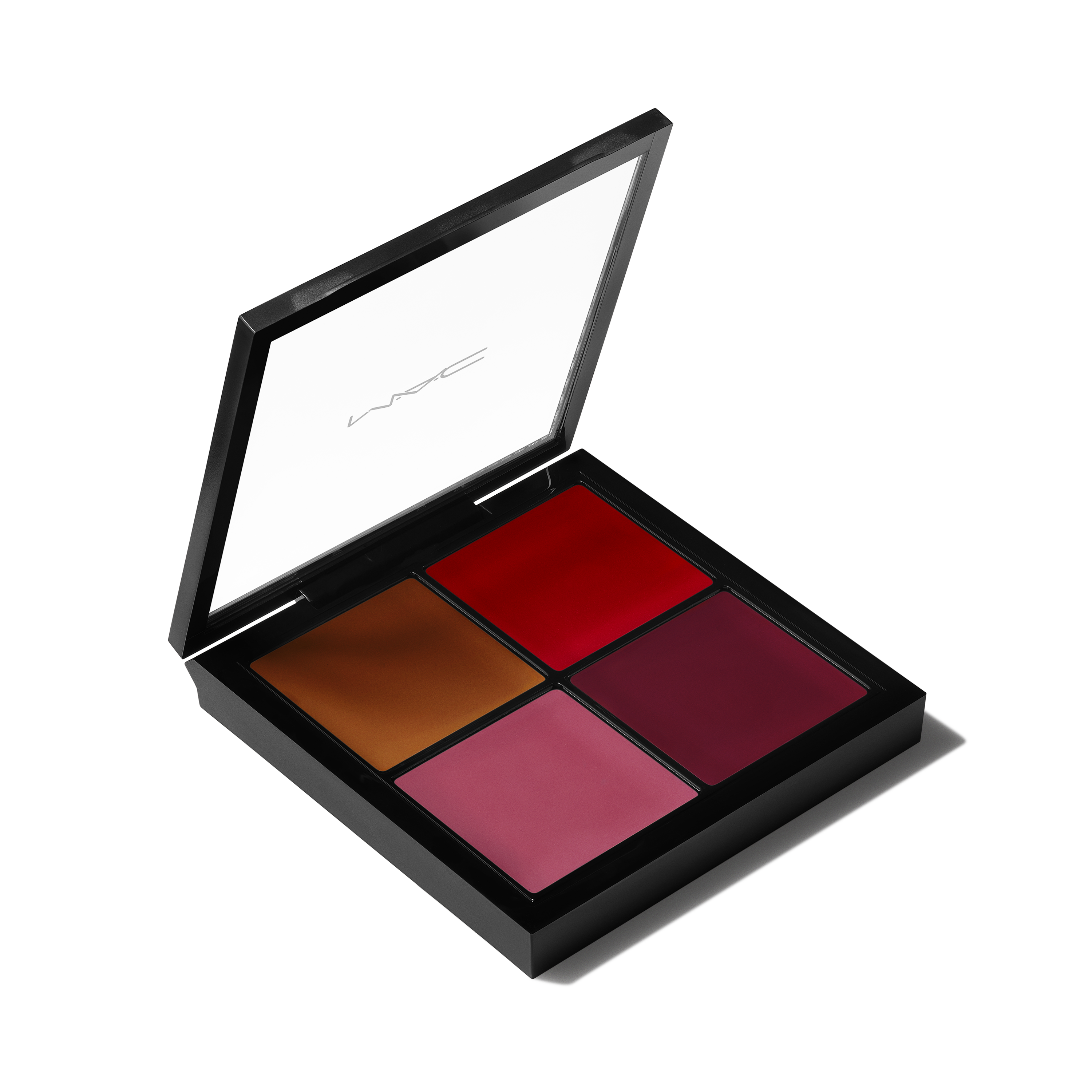 Pro Face Palette Blush for Everyday Wear and versatile coordinated color