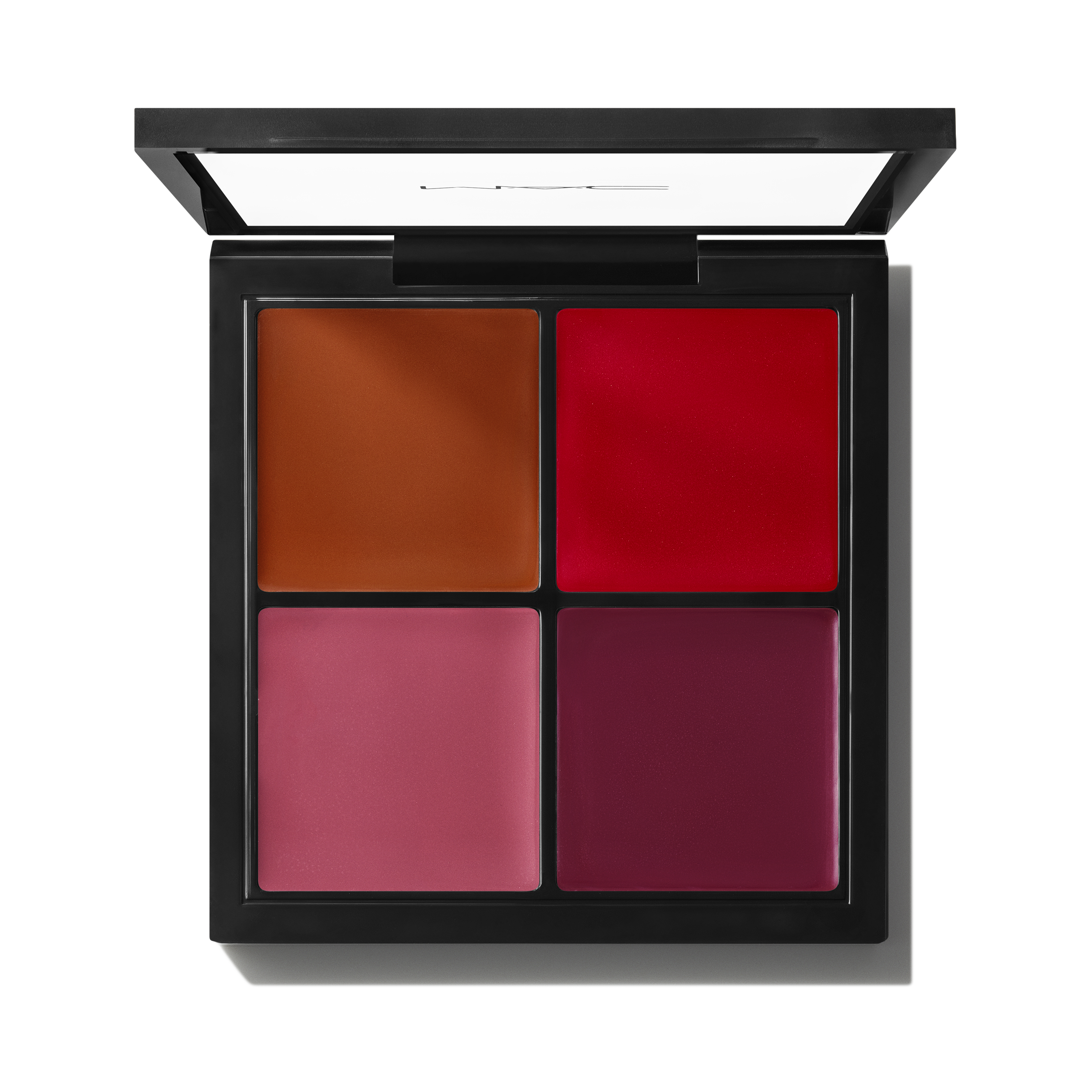 Pro Face Palette Blush for Everyday Wear and versatile coordinated color