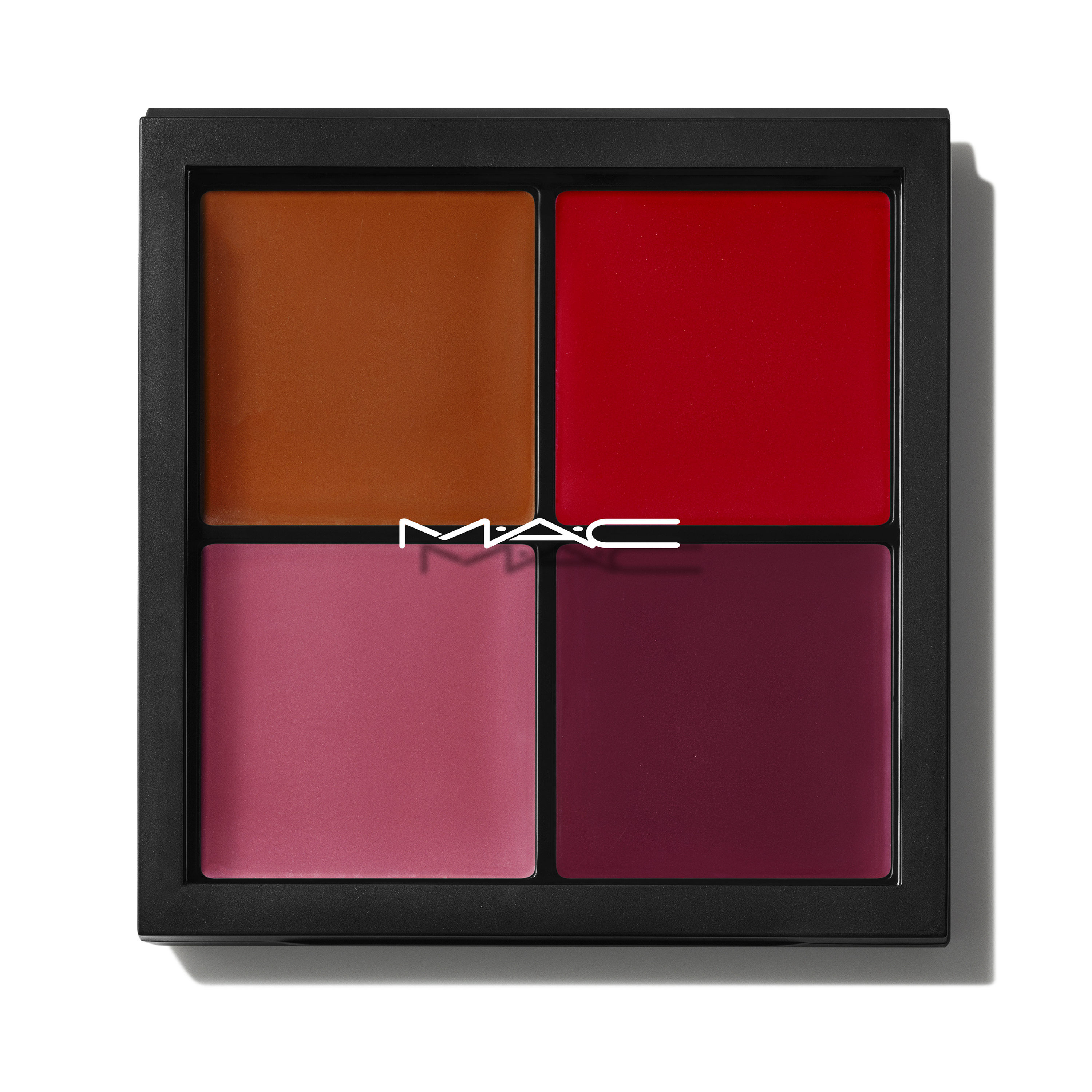 Pro Face Palette Blush for Everyday Wear and versatile coordinated color