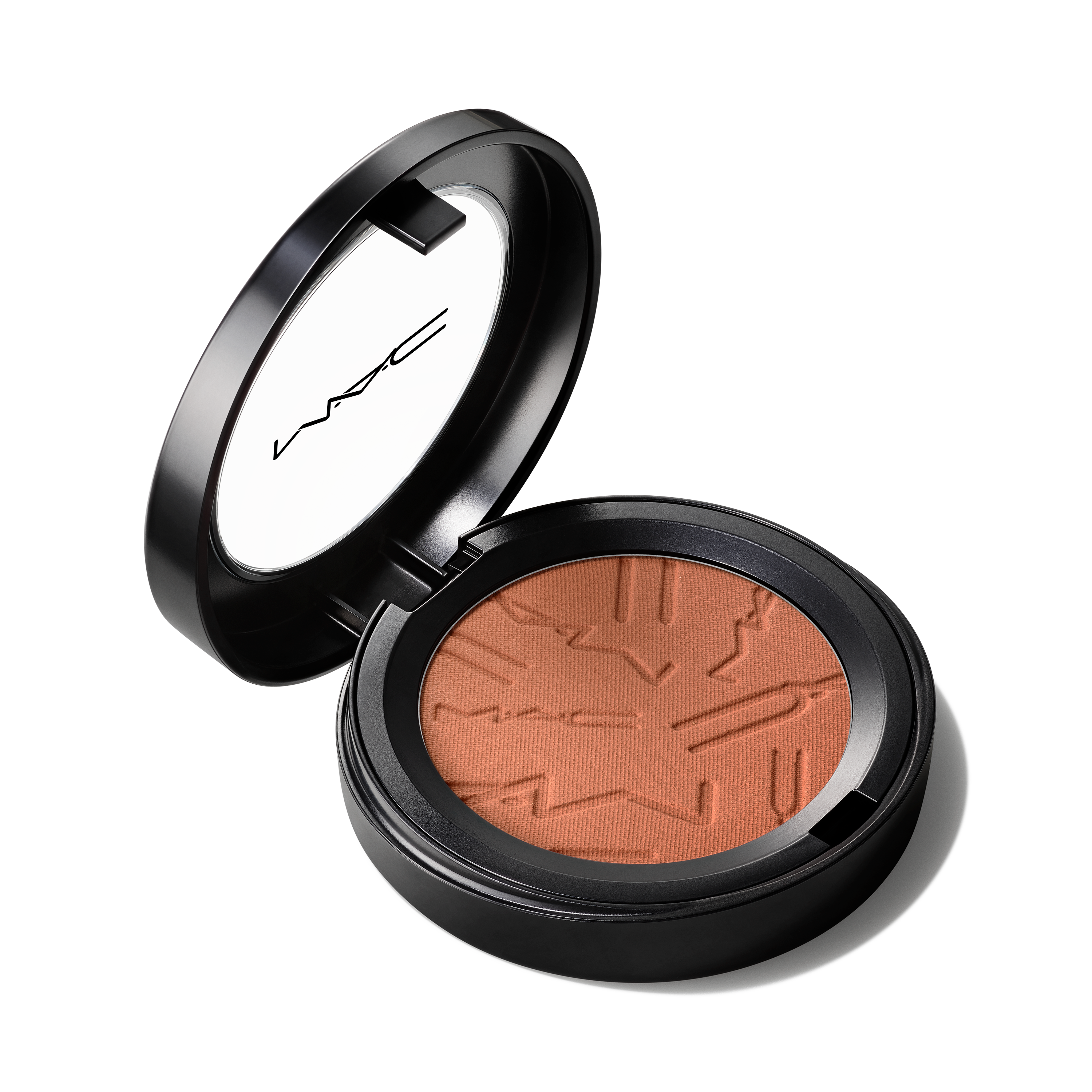 Skinfinish Colourstruck Blush for Everyday Wear and fresh looking color