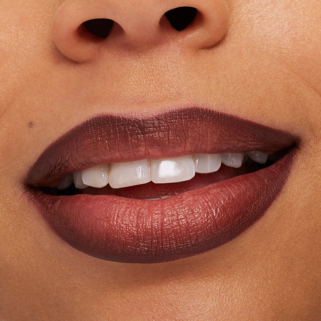 Lip Pencil Metamorphosis Collection for Everyday Wear and defined lip color