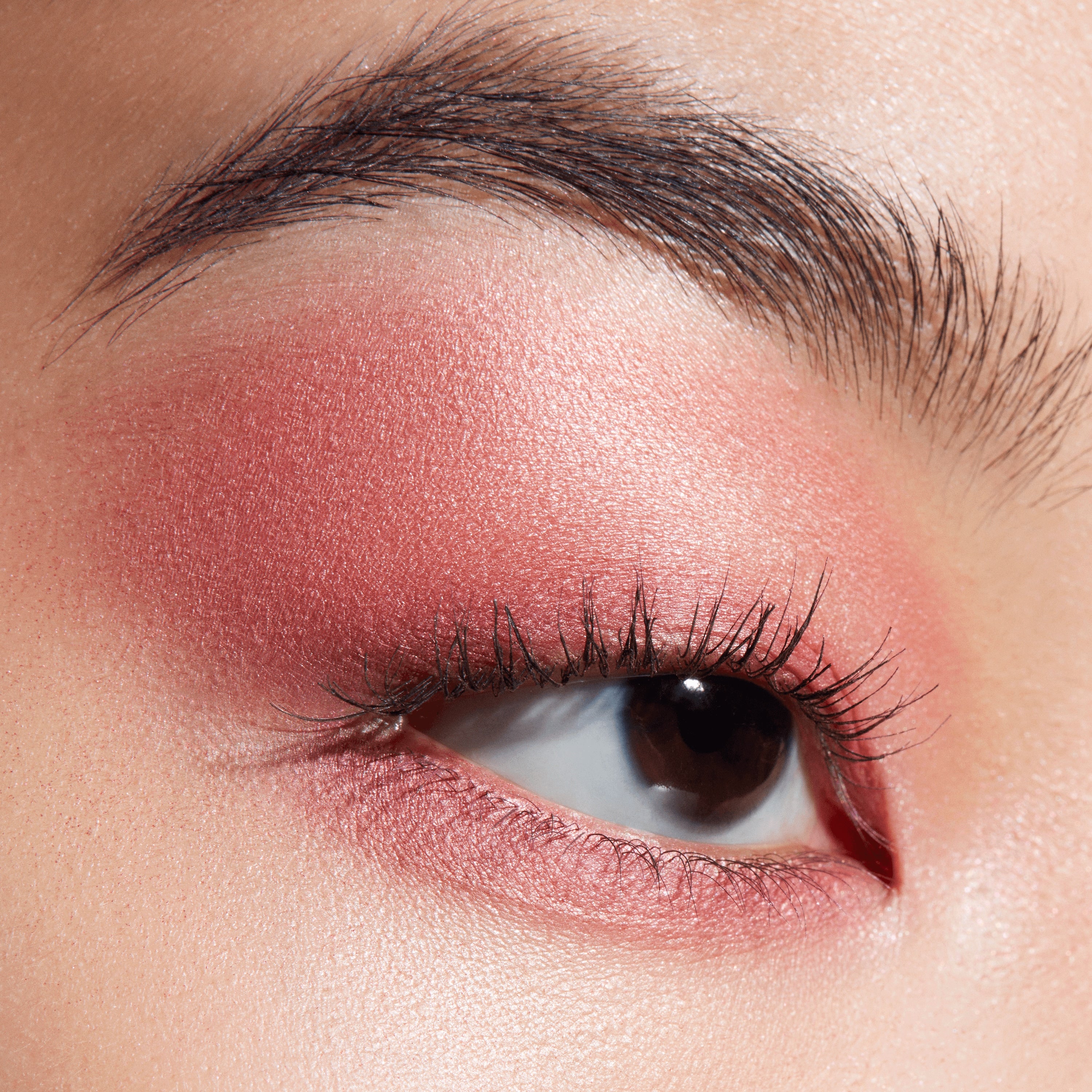 Connect In Colour Eye Shadow Palette Rose Lens for Everyday Wear and versatile coordinated color