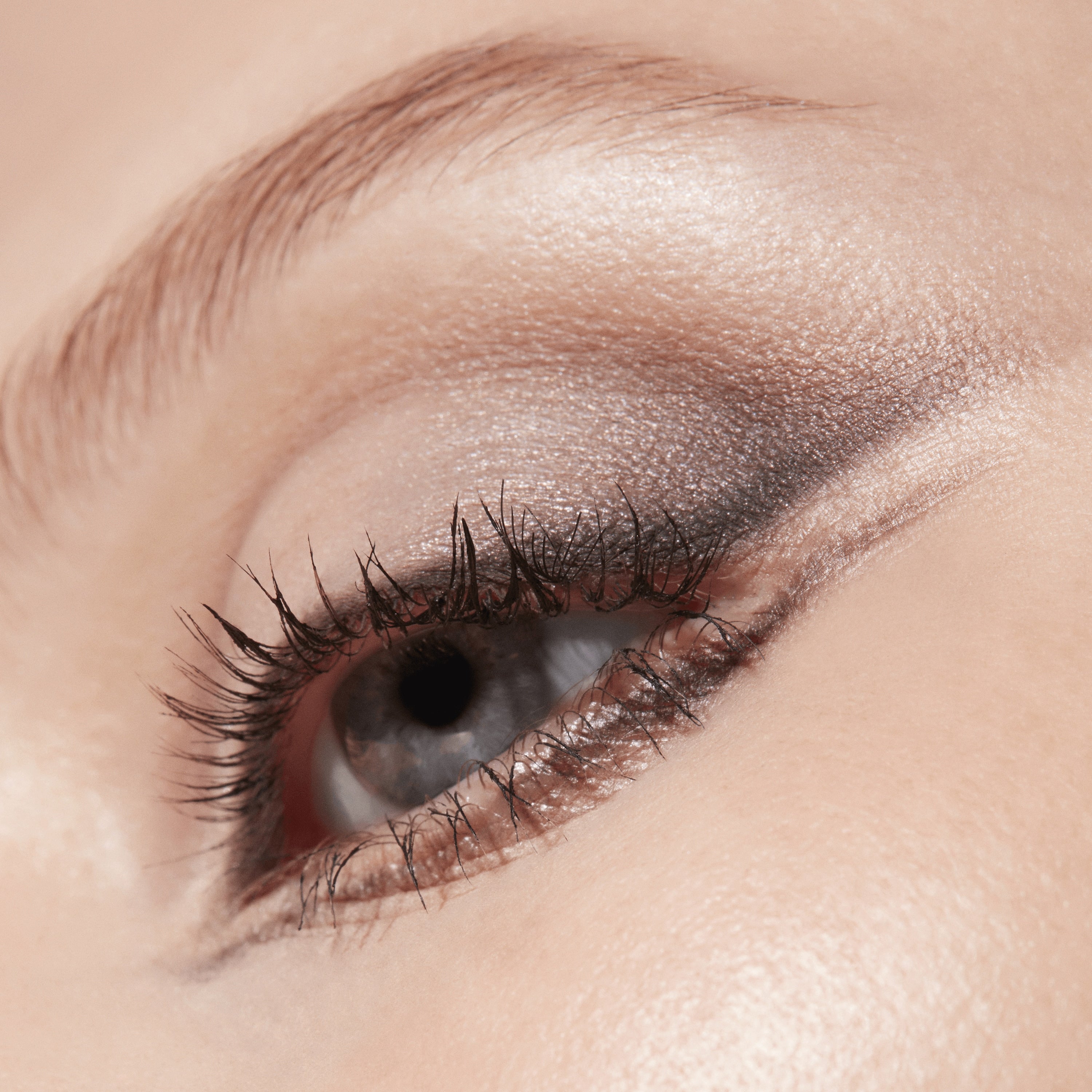 Connect In Colour Eye Shadow Palette Encrypted Kryptonite for Everyday Wear and versatile coordinated color