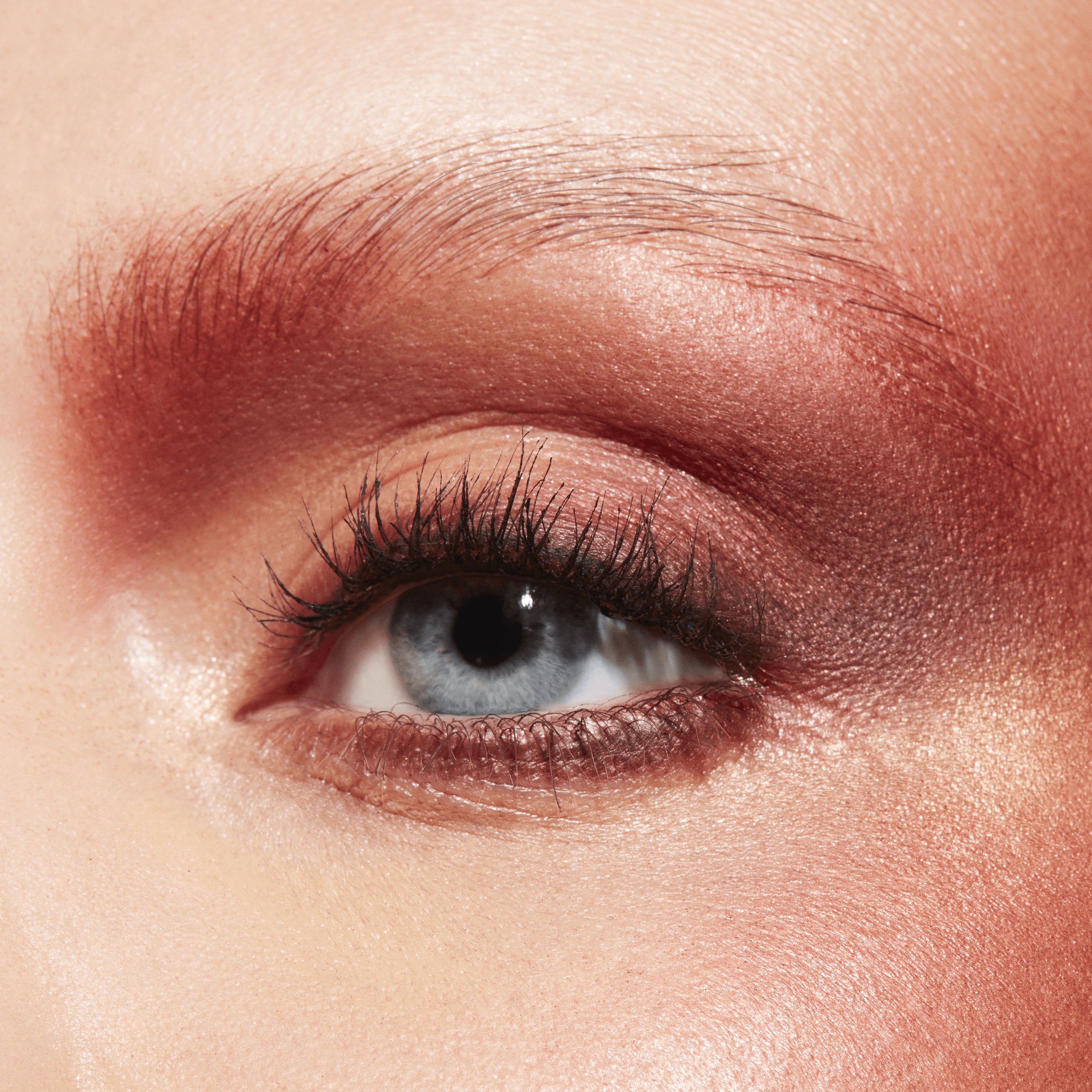 Connect In Colour Eye Shadow Palette Future Flame for Everyday Wear and versatile coordinated color