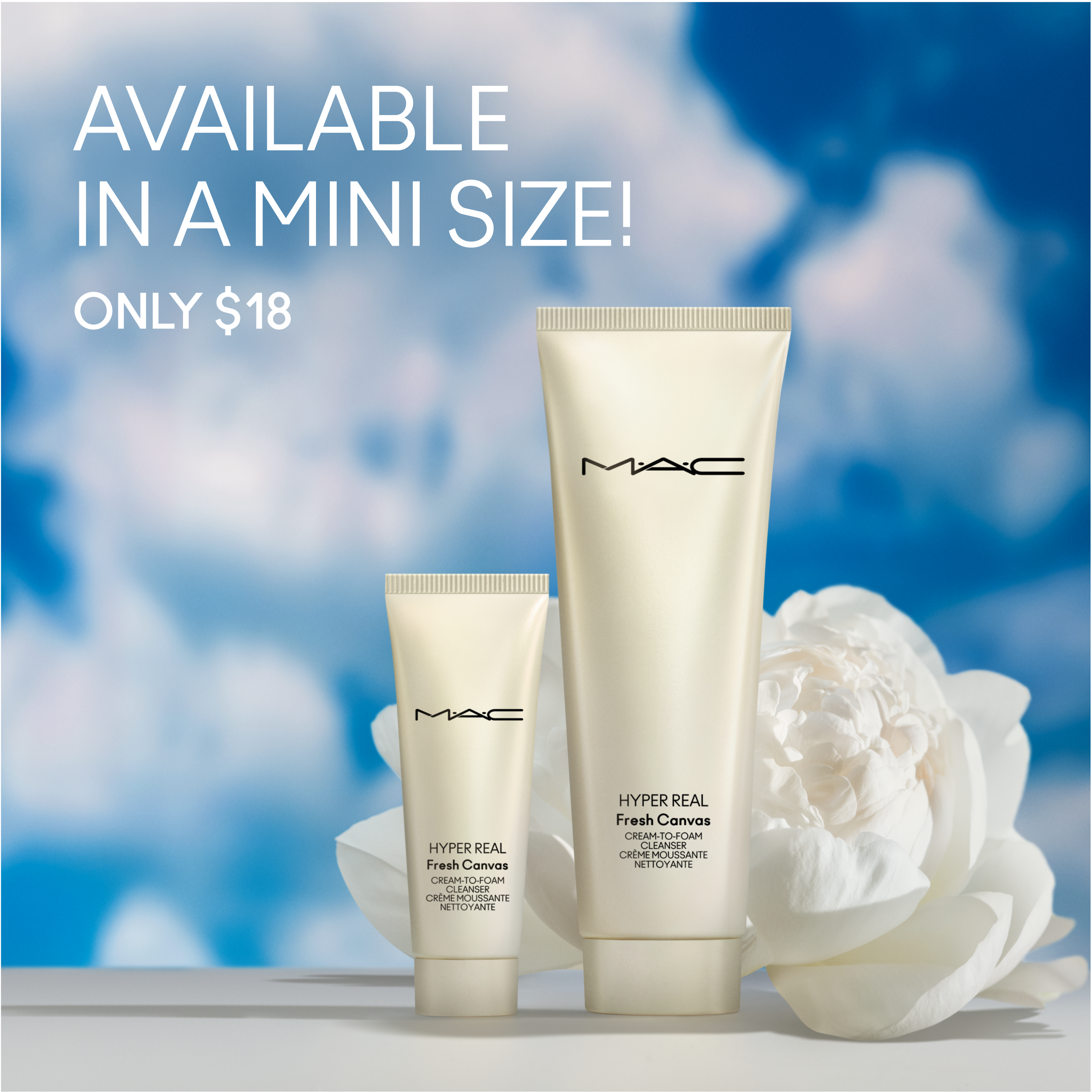 Hyper Real Fresh Canvas Cream To Foam Cleanser for Everyday Wear and gentle makeup removal